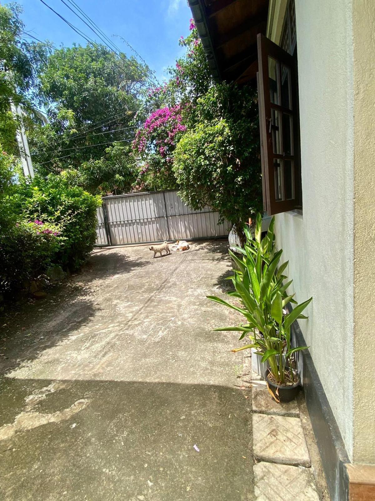 Noahs Ark Transit Stay Moratuwa Buitenkant foto